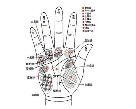 手相雜亂|手相:相形,相關起源,左右手,三大紋路,十字紋,星紋,島紋…